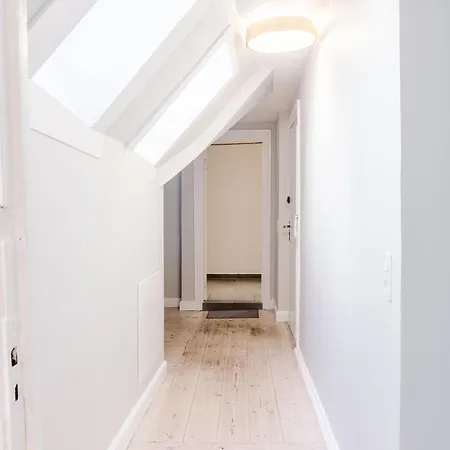 Penthouse W/rooftop Terrace In Latin Quarter 哥本哈根