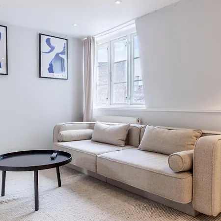 Penthouse W/rooftop Terrace In Latin Quarter 公寓 哥本哈根