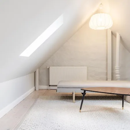 Penthouse W/rooftop Terrace In Latin Quarter 公寓 哥本哈根