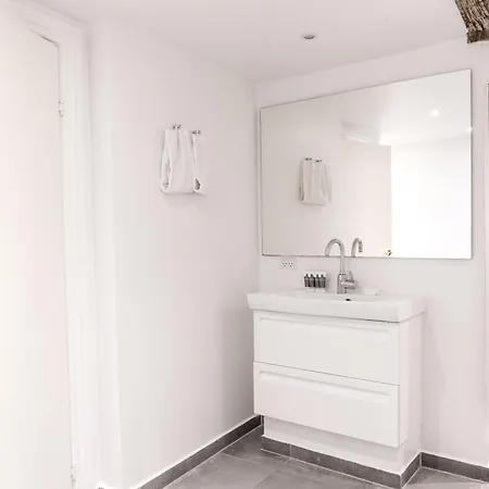 Penthouse W/rooftop Terrace In Latin Quarter Apartment