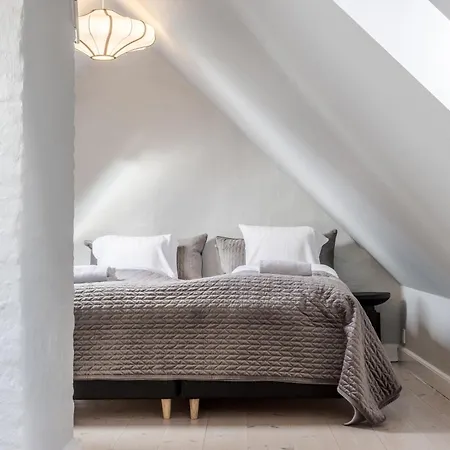 Penthouse W/rooftop Terrace In Latin Quarter Daire Kopenhag